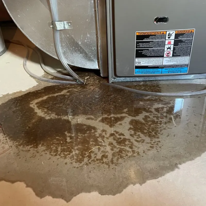 Pipe Burst and Leak Restoration in Allentown, PA