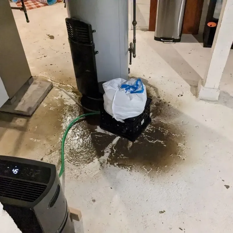 Sewage Backup Cleanup Service in Allentown, PA